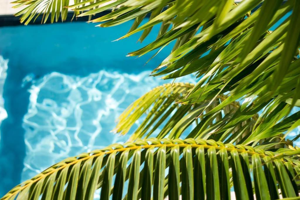 Goudhaen Luxury Private Apartments Jan Thiel Beach エクステリア 写真